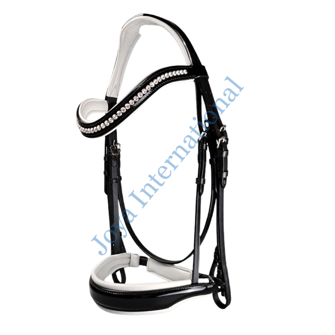 015-removebg-preview 015-removebg-preview