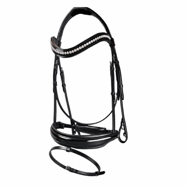 017-removebg-preview 017-removebg-preview