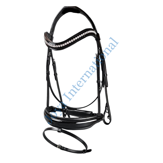 017-removebg-preview 017-removebg-preview