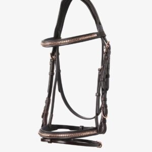 Brown leather horse bridle with gold clincher