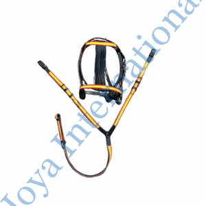 Horse Spanish Flag Bridle with Breastplate
