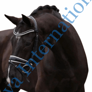 Brown Leather Horse Bridle Suppliers In India