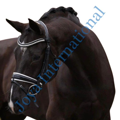 3b4fe0e6-c02d-4684-8107-75c74391fbac-removebg-preview 3b4fe0e6-c02d-4684-8107-75c74391fbac-removebg-preview