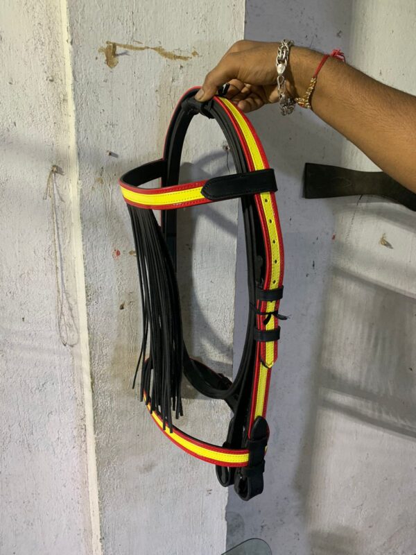 5af925d4-b853-40f8-9d28-b974e4137c9c