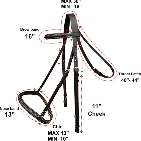 61IaMjcfx5L._AC_SL1500_ 61IaMjcfx5L._AC_SL1500_