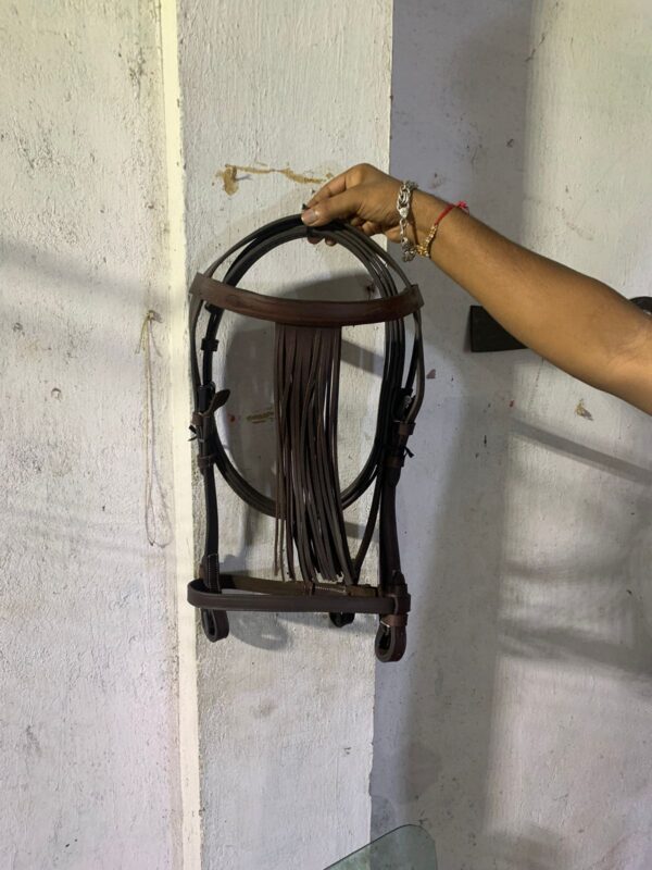 86ea6e10-7104-4a1a-9c39-be1d53fa8641