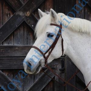 Horse Raised Fancy Stitched Bridle Color Brown