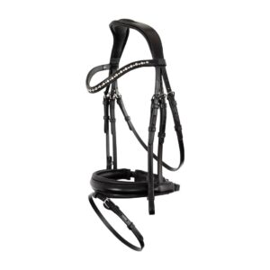 Premium dressage leather bridle for elegant horse