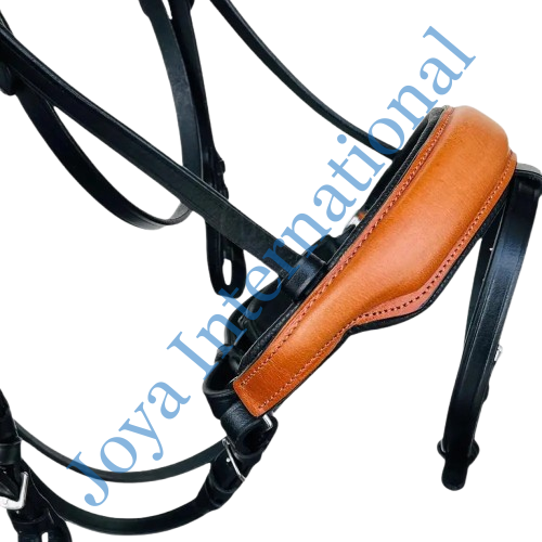 b2__2_-removebg-preview (2) b2__2_-removebg-preview (2)