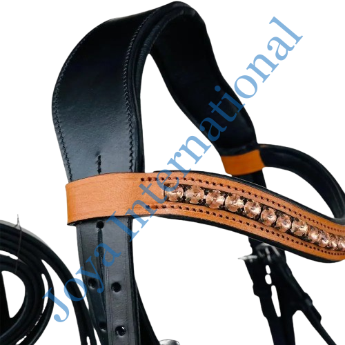 b2__2_-removebg-preview b2__2_-removebg-preview