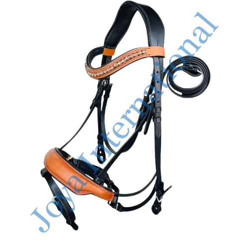 b2__3_-removebg-preview Joya