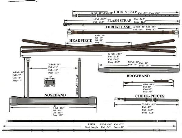 bridle-size-guide-halter-ego__25773 bridle-size-guide-halter-ego__25773