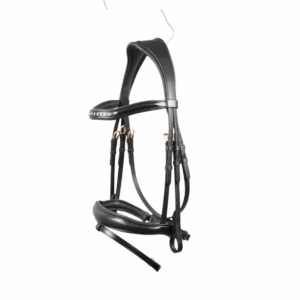 Luxury Horse Bridle for Dressage Manufacturers