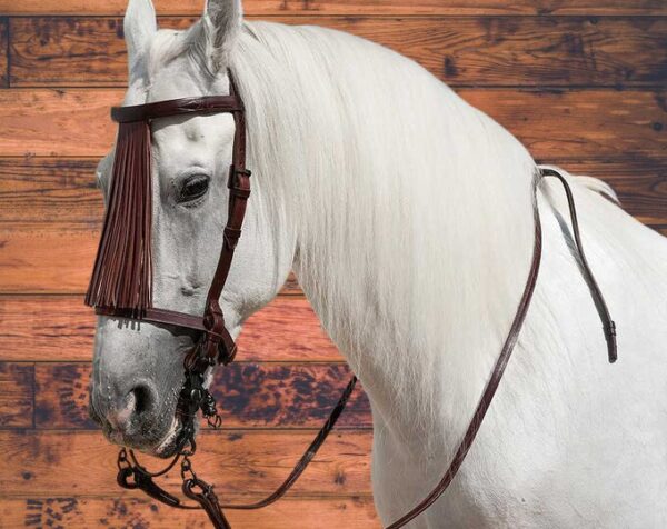 il_680x540.4138723140_imch