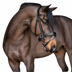 Black Crystal English & Western Style Bridle reins