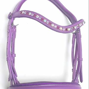 Purple anatomical bridles wholesale price in india