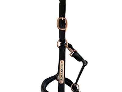 Gold-Rose-Horse-Leather-Halter