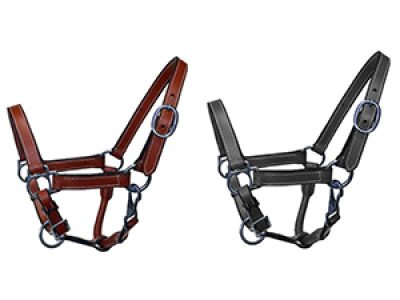 Mini-or-Pony--Brown-Or-Black-Everyday-leather-halter