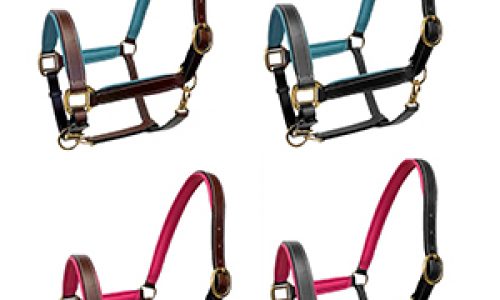 Rich-Brown-Or-Black-track-show-leather-halter-with-Pink-or-Teal-accents-!