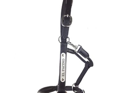 Silver-Leather-Halter